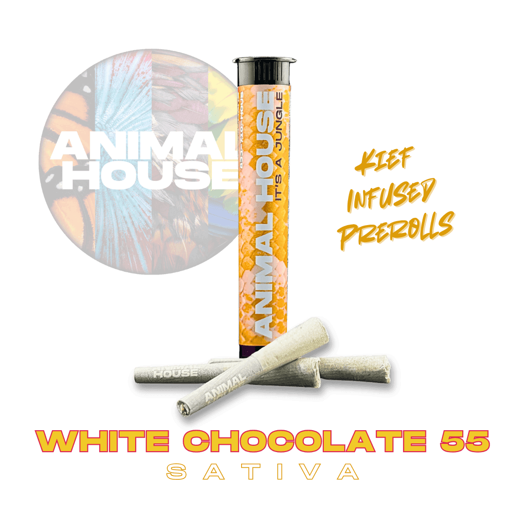 White Chocolate 55 • 3pk Infused Pre-rolls • 1.5g - Animal House | Treehouse Cannabis