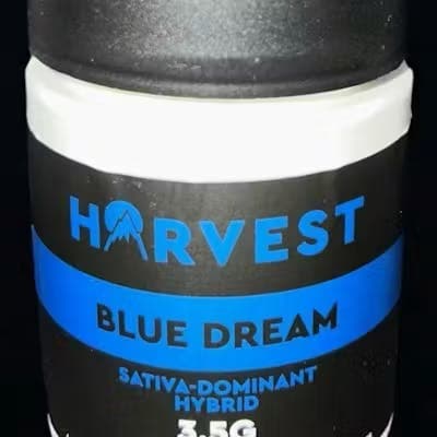 Blue Dream 3.5g - Harvest