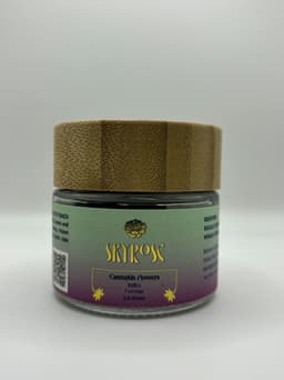 Rainbow Sherbert 11 | Flower | 3.5g