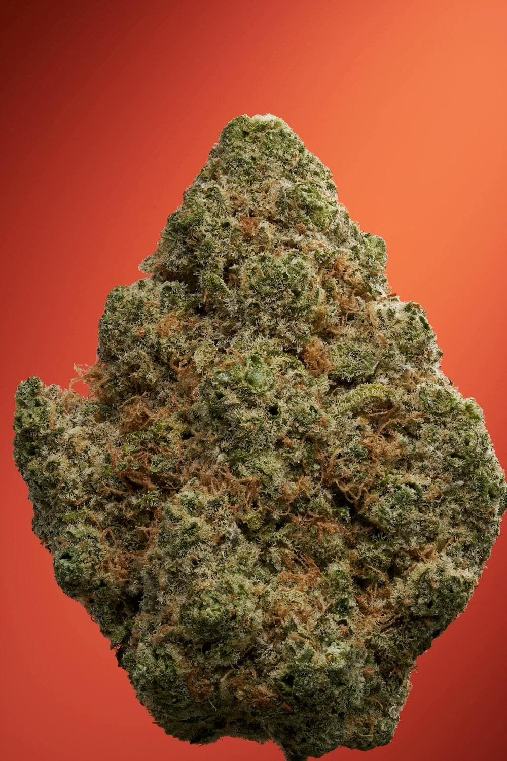 Pineapple Donut • Flower • 3.5g - Florette | Treehouse Cannabis
