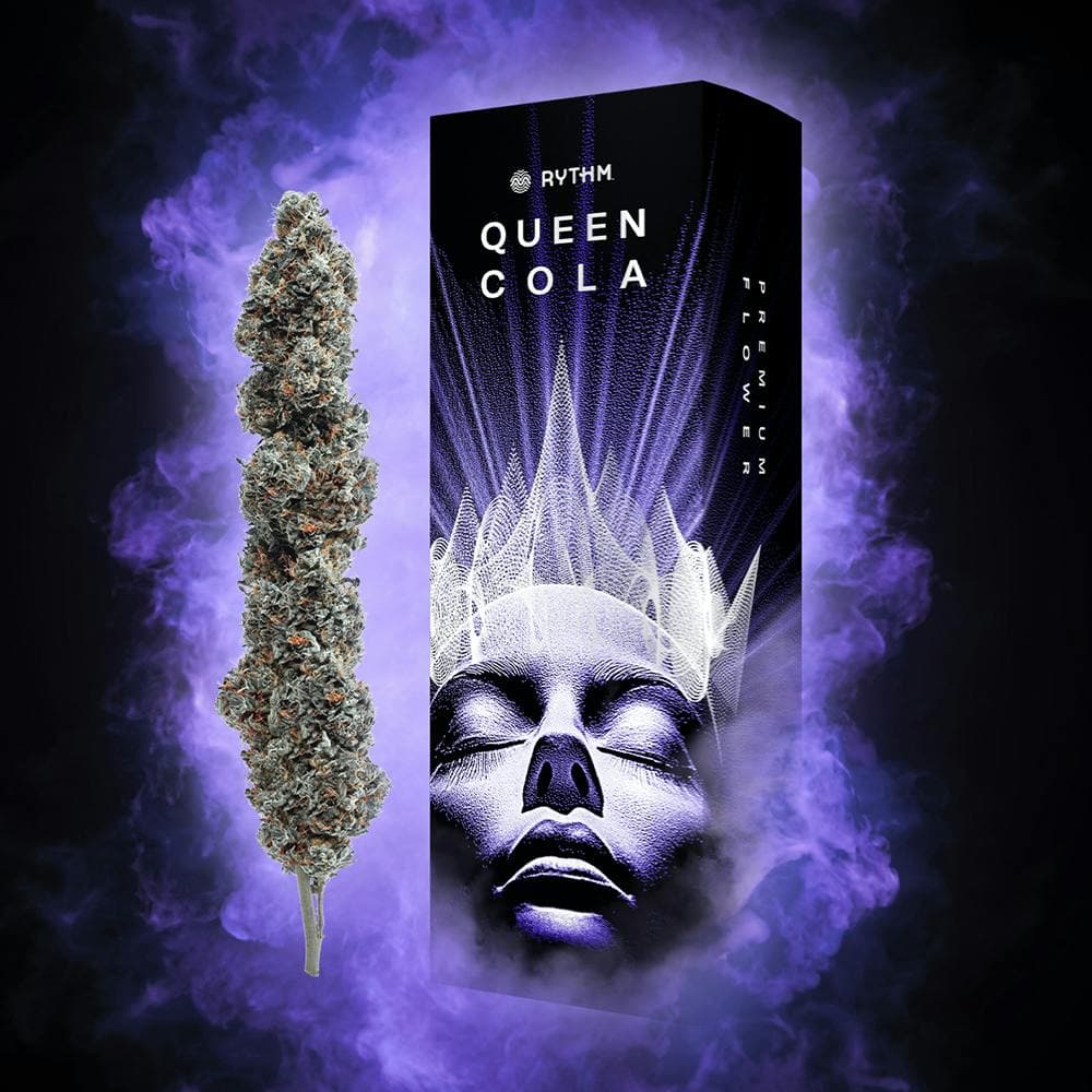 Jack's Delight Queen Cola • 14g -  | Treehouse Cannabis