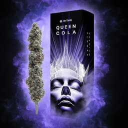 Sour Diesel Queen Cola | Flower | 14g