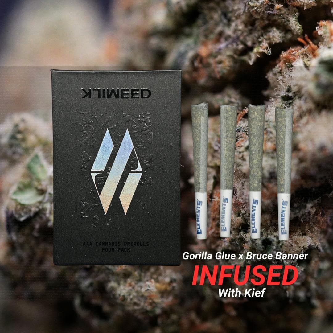 Goriulla Glue X Bruce Banner • Infused 4pk Pre-rolls • 4g - MILKWEED | Treehouse Cannabis