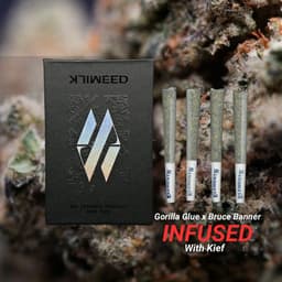 Goriulla Glue X Bruce Banner | Infused 4pk Pre-rolls | 4g