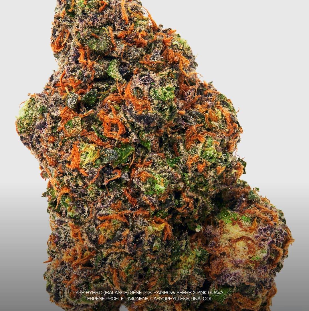 Zoap • Flower • 3.5g - Dada Exotics | Treehouse Cannabis