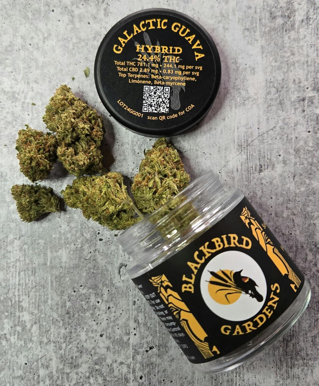 Galactic Guava • Flower • 3.5g - Blackbird Gardens | Treehouse Cannabis