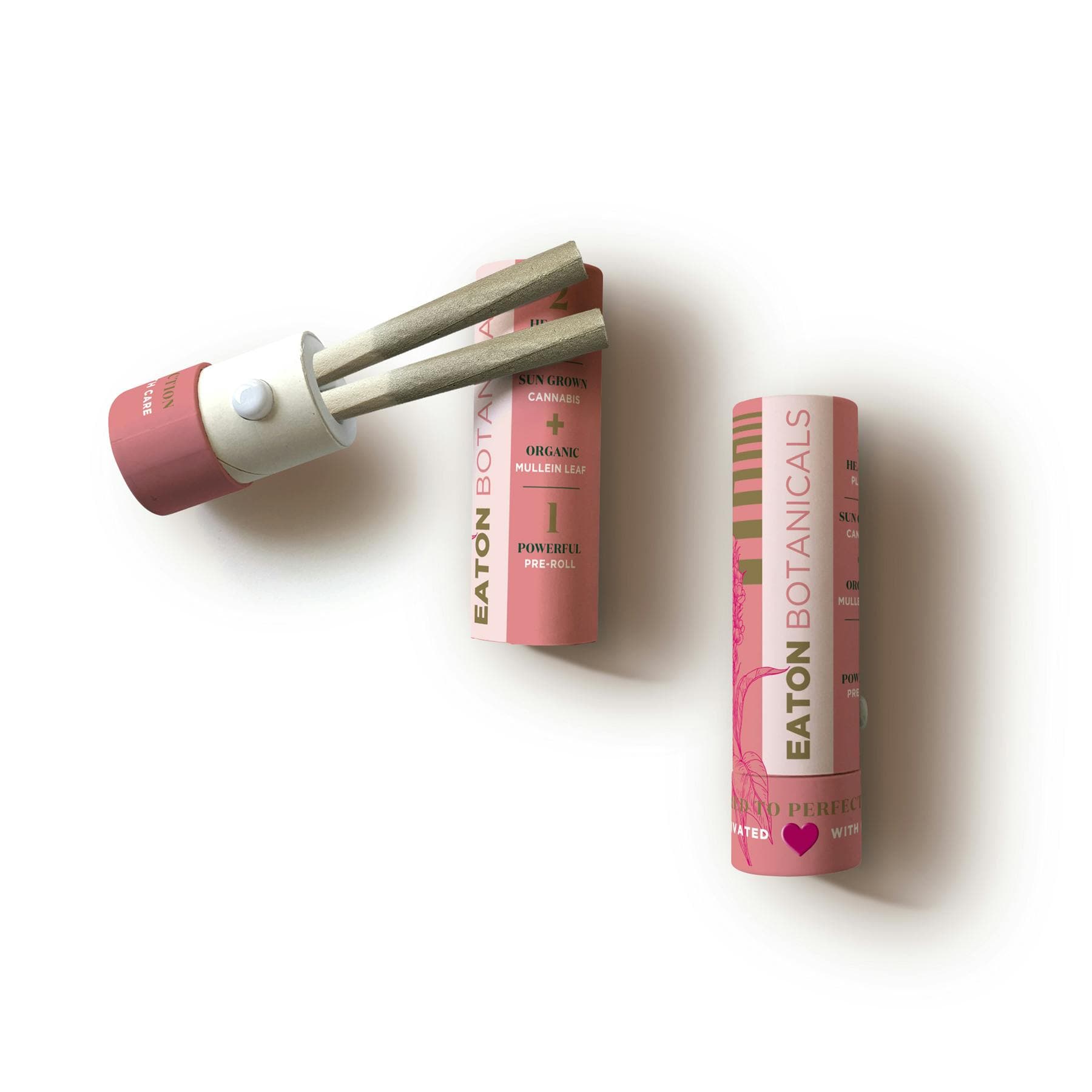 product image for Chairlifts "GMO" 2-Pack Pre-Rolls .70g