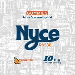 Tangerine Live Rosin Gummies | 10 pack | 100mg