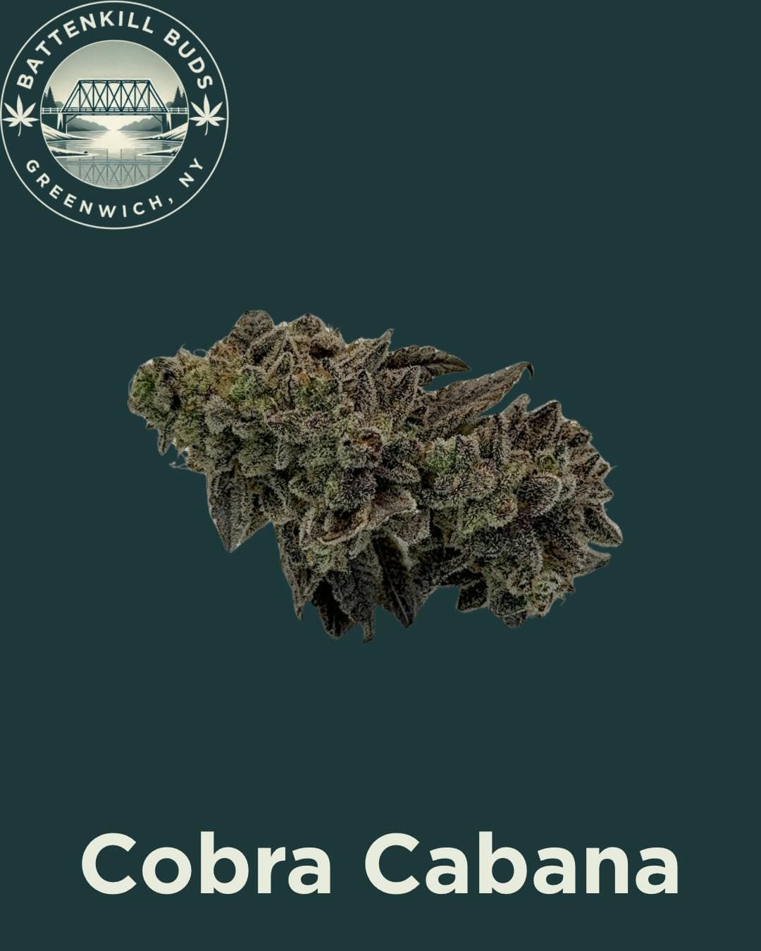 Cobra Cabana  • Flower • 3.5g - Battenkill Buds | Treehouse Cannabis