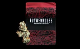 Grape Cake | Flower | 3.5g