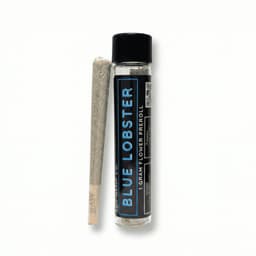 Blue Lobster | Pre-Roll | 1G