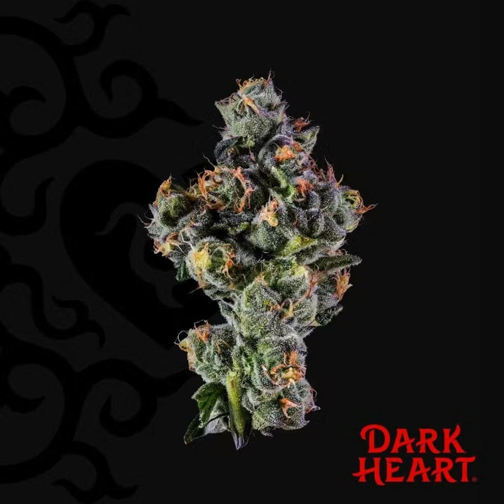 Sugar Kushions • 3.5g - Dark Heart | Treehouse Cannabis