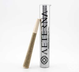 Apple Fritter | Pre-Roll | 1g
