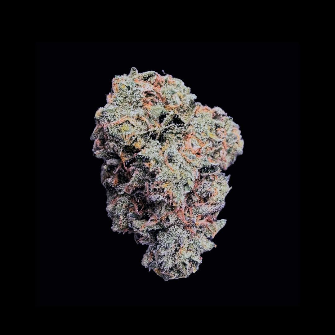 Biscotti Pancakes • 3.5g - House of Sacci | Treehouse Cannabis