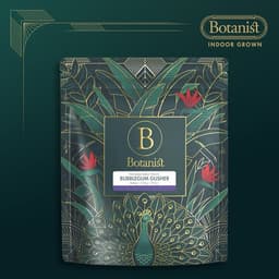 Bubble Gum Gushers | Flower | 14g