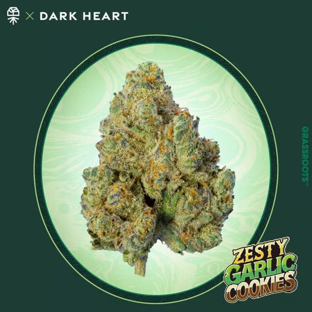 product image for Zsety Garlic Cookies "Dark Heart Collection" Small Buds 7g