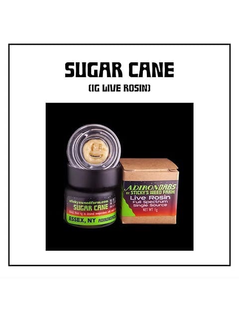 Sugarcane • Live Rosin Concentrate • 1g - Sticky's Weed Farm | Treehouse Cannabis