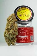 Super Lemon Haze | Flower | 3.5g