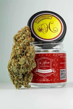 Super Lemon Haze | Flower | 3.5g