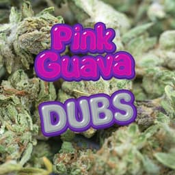 Pink Guava | Dub Bag | 2 Grams