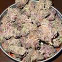 Montauk Trop | Dub Bag | 2 Grams