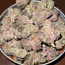 Montauk Trop | Dub Bag | 2 Grams