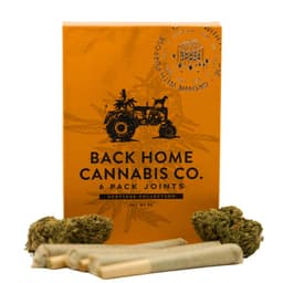 Acapulco Gold | 6 Pack Pre-Rolls | 3G