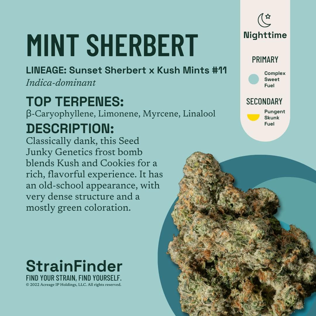 product image for Mint Sherbert Flower 3.5g