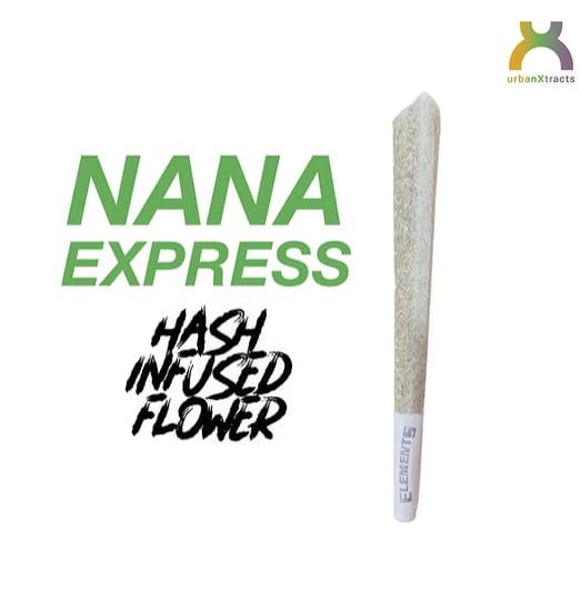 Nana Express • Hash Infused Pre-Roll • 1.2g - urbanXtracts | Treehouse Cannabis