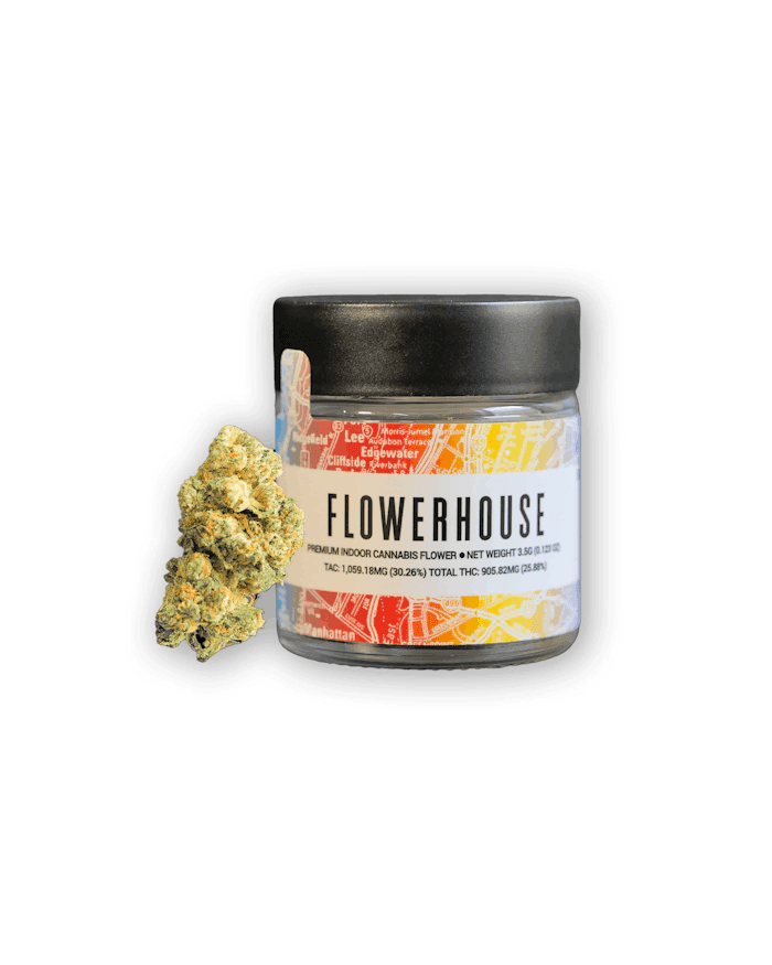 Rainbow Sherbet Flower House Flower - 
