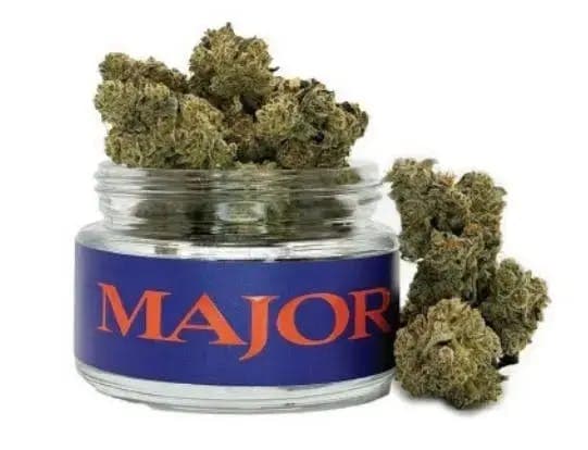Candy Paint • Flower • 3.5g - Major | Treehouse Cannabis