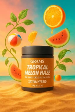 Tropical Melon Haze | Flower | 3.5g