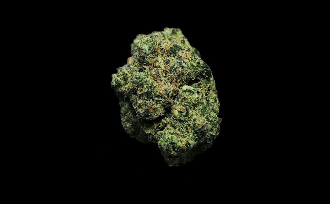 Bosscotti • Flower • 3.5g - Flower House | Treehouse Cannabis