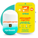 ayrloom | Pineapple Express | AIO | 2g