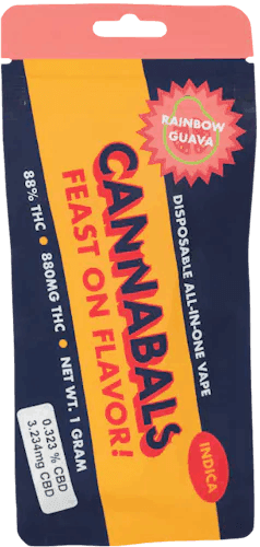 product image for Rainbow Guava Disposable Vape 1g