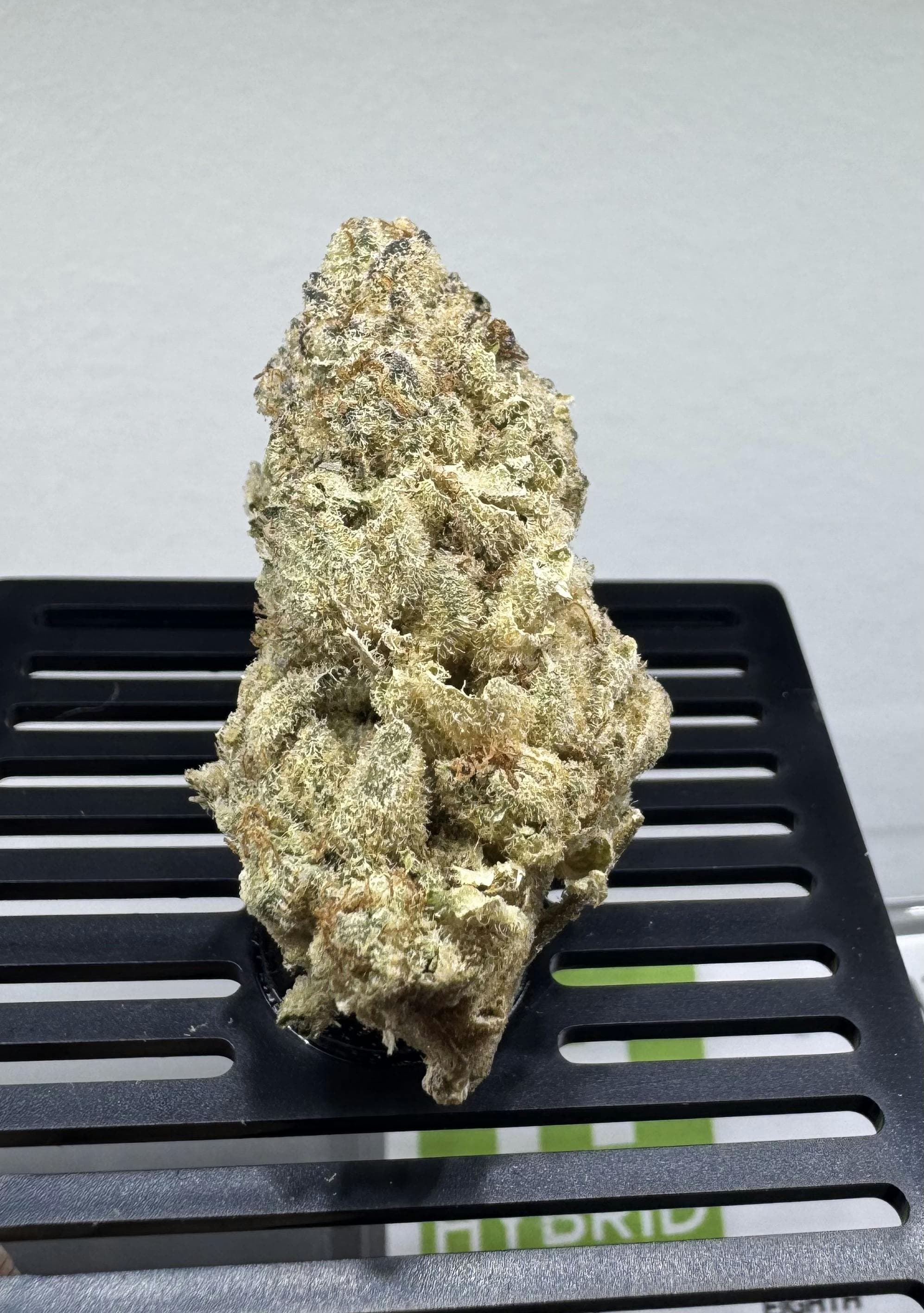 product image for Orange Tree Flower 3.5g