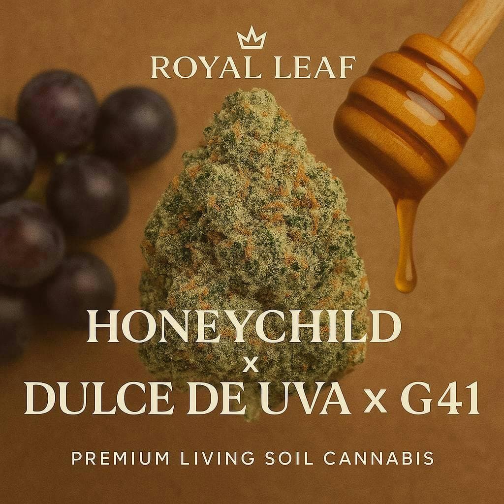 Honey Child Flower 3.5G - Royal Leaf