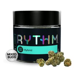 Fantasy Melonz | Mixed Buds | Hybrid | 14g