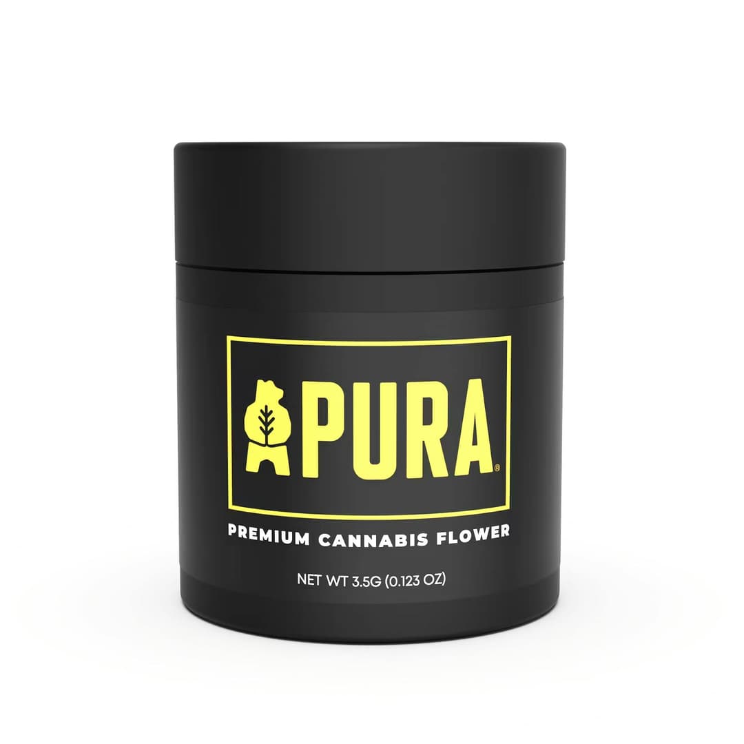 GMO x Banana Cream Cake Jealousy • Flower • 3.5g • PURA - Pura | Treehouse Cannabis