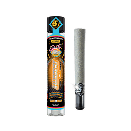 Temptation | Infused Glass Tip Preroll | 1.5g