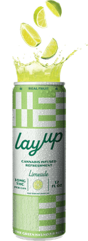 Limeade 10Mg THC | 12oz