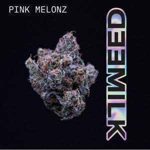 Pink Melonz • Flower • 3.5g - MILKWEED | Treehouse Cannabis