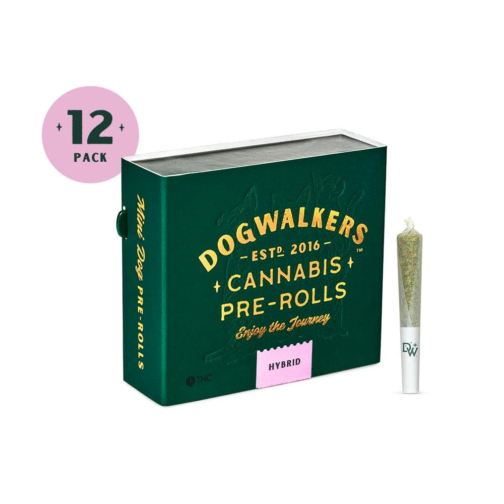 product image Rose Gold Runtz Mini Dogs 12-pack | 4.2g