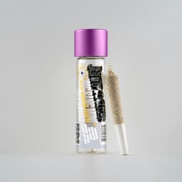 Super Silver Haze | Big Bang Mini | Infused Pre-Roll | .5G