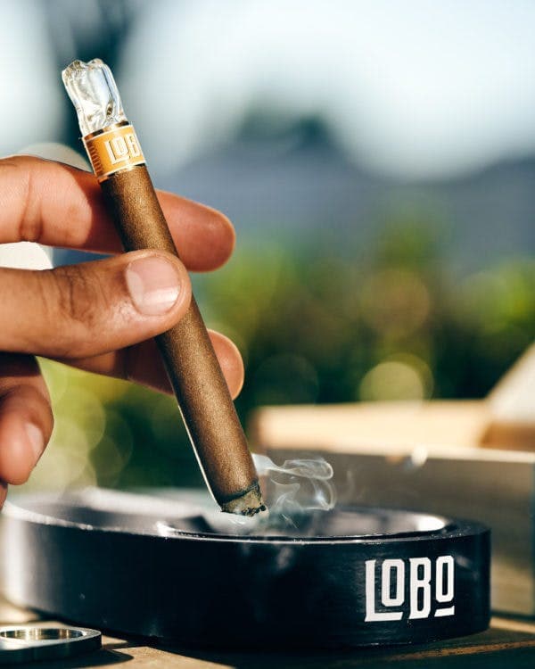 Sherbadelic • Infused Presidente XL Hemp Blunt • 2g - Lobo | Treehouse Cannabis