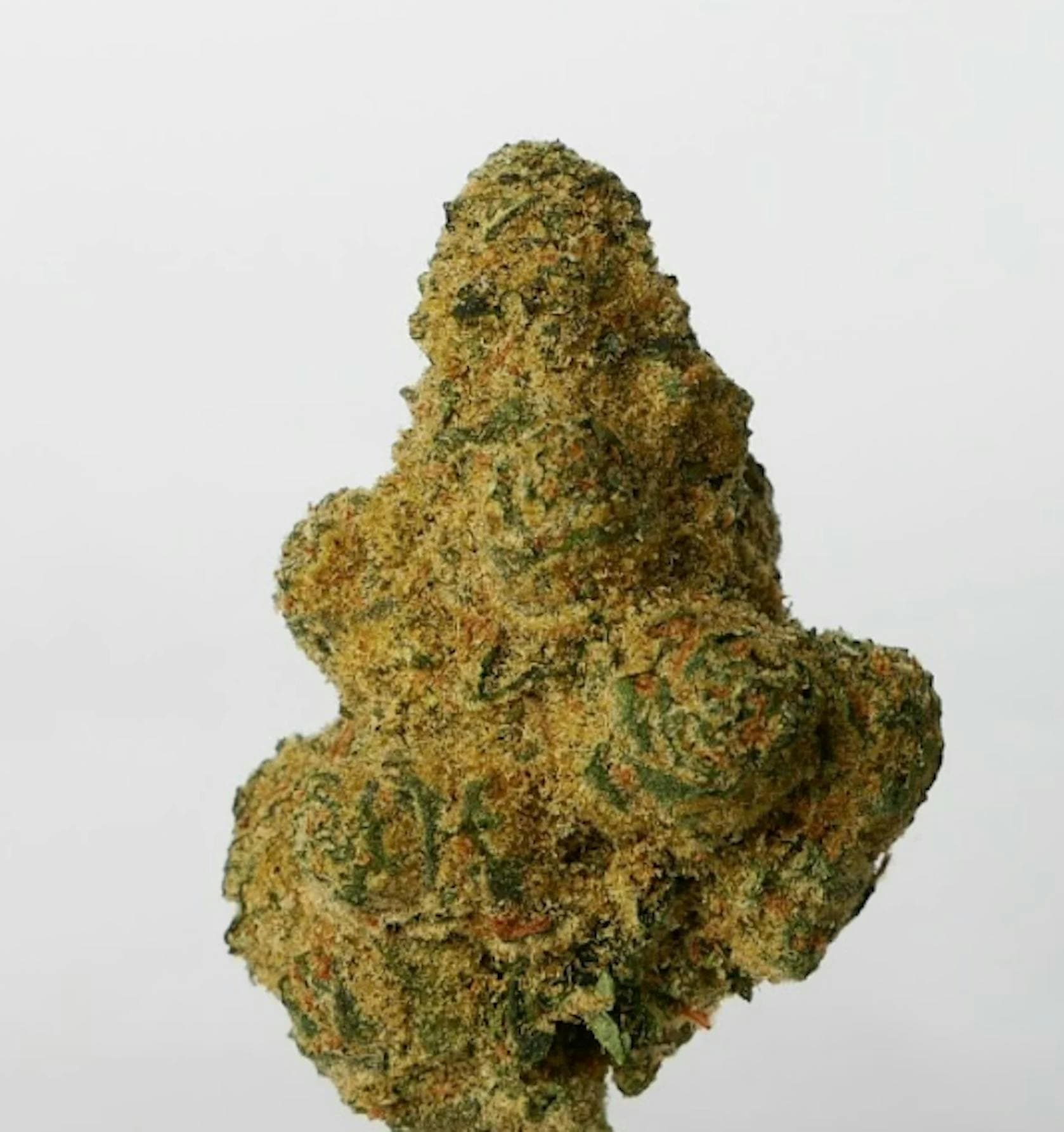 Astro GMO Flower 28g - Grocery