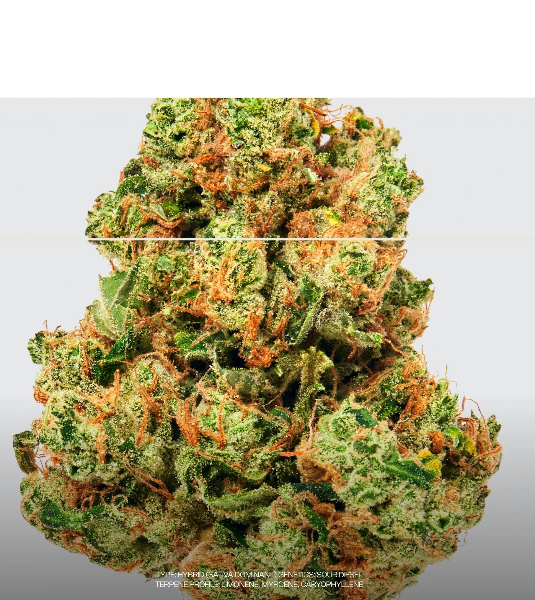 product image for Sour Diesel Flower 3.5g