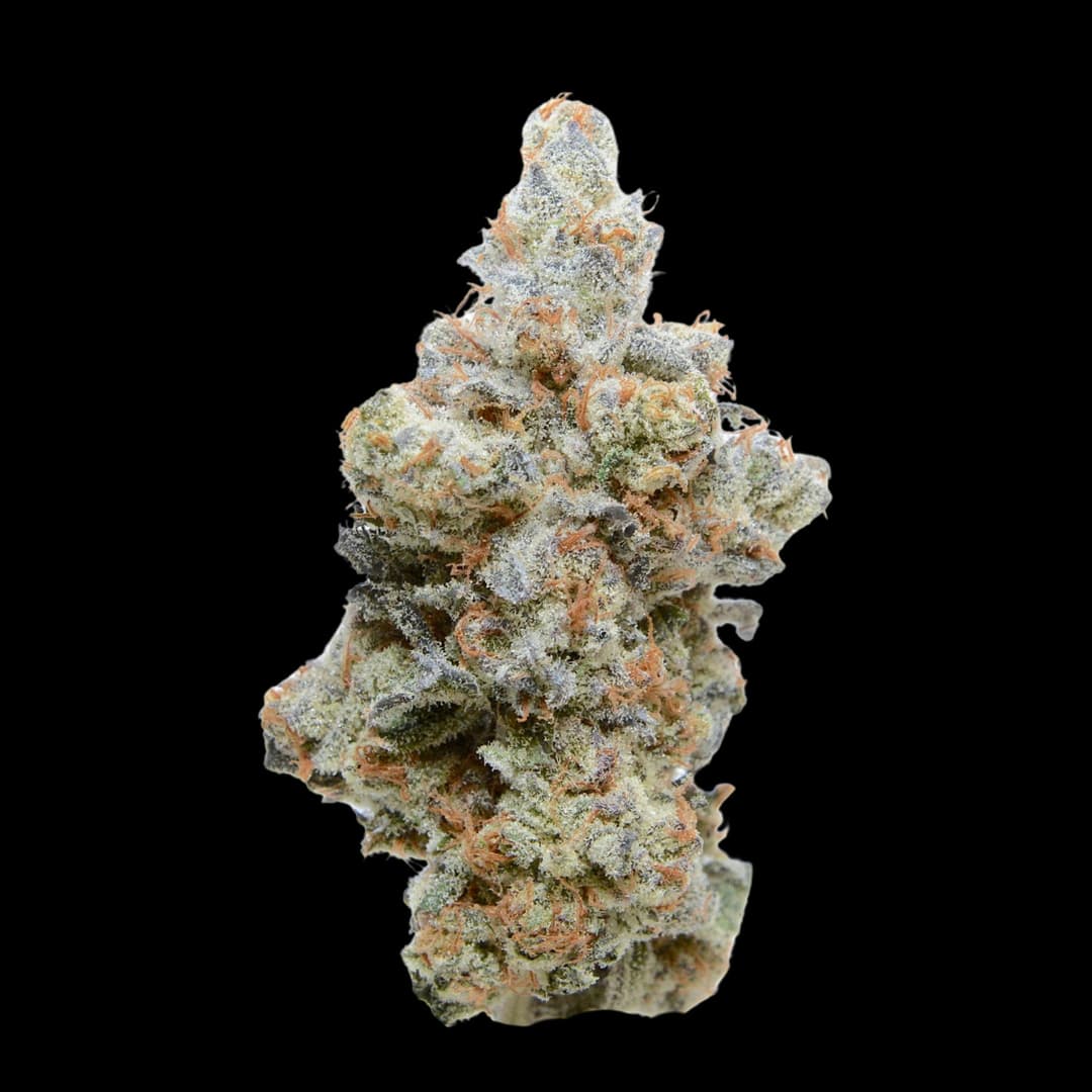Pure Michigan • Flower • 3.5G - Tall Trees Farm | Treehouse Cannabis