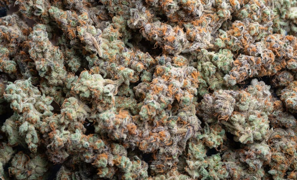 Green Blend #4 • Ground Flower • 14g - Hybrid Theory | Treehouse Cannabis