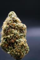 Magic Pop Rocks | Flower | 3.5Gg